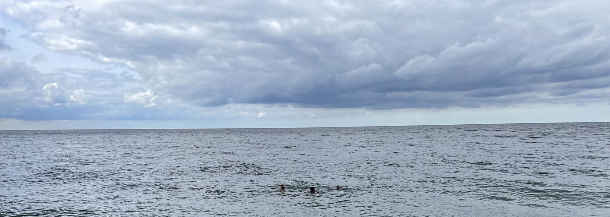 Revealhealthyskinspallc